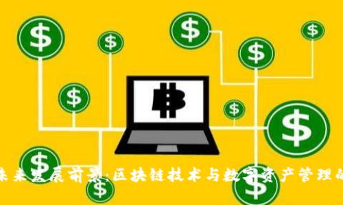 TP钱包的未来发展前景：区块链技术与数字资产管理的完美结合